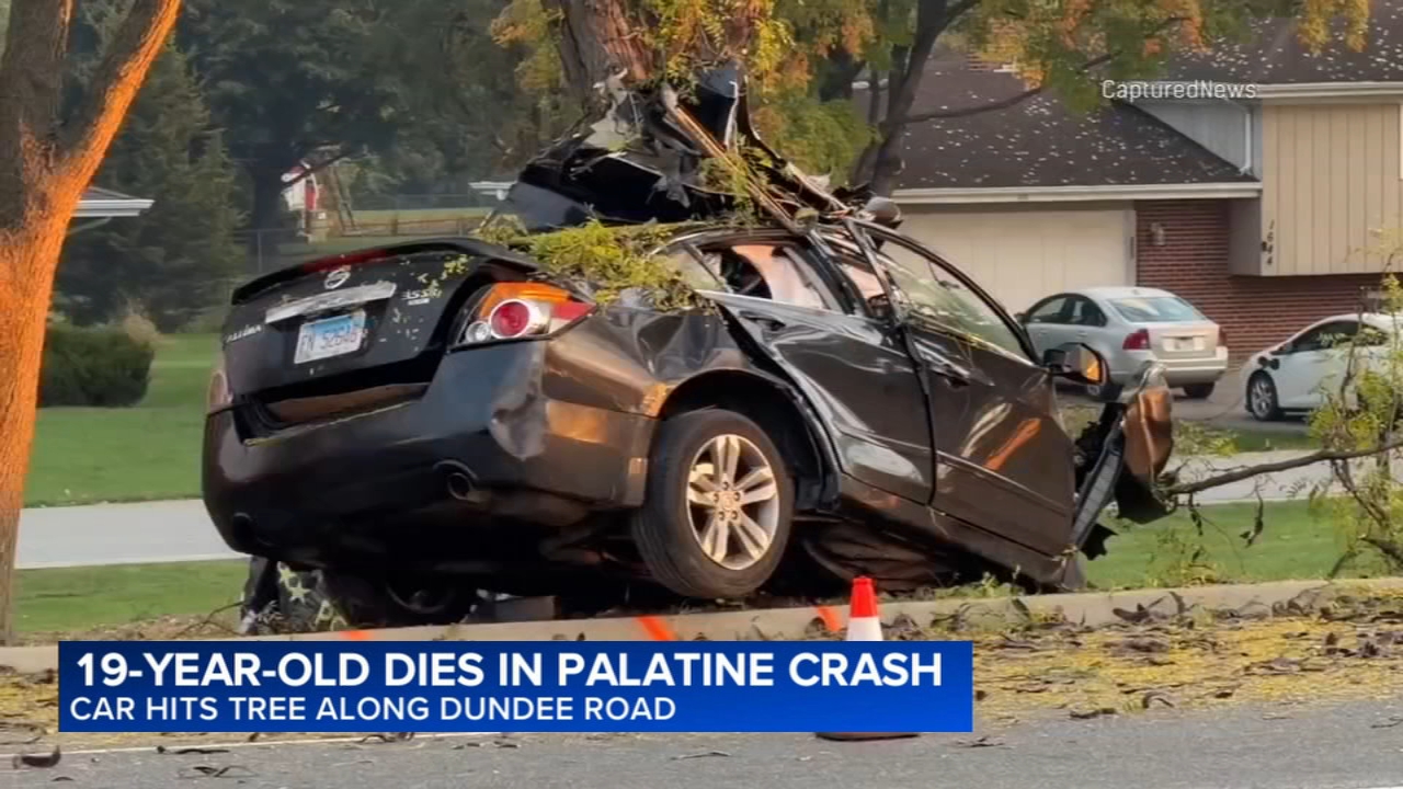 Schaumburg man killed after crashing into tree identified, Palatine police say
       — ABC7 Chicago (WLS-TV)